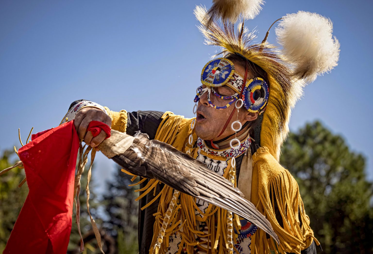 Chief Micanopy Fights to Retain His Land - Micanopy Black History