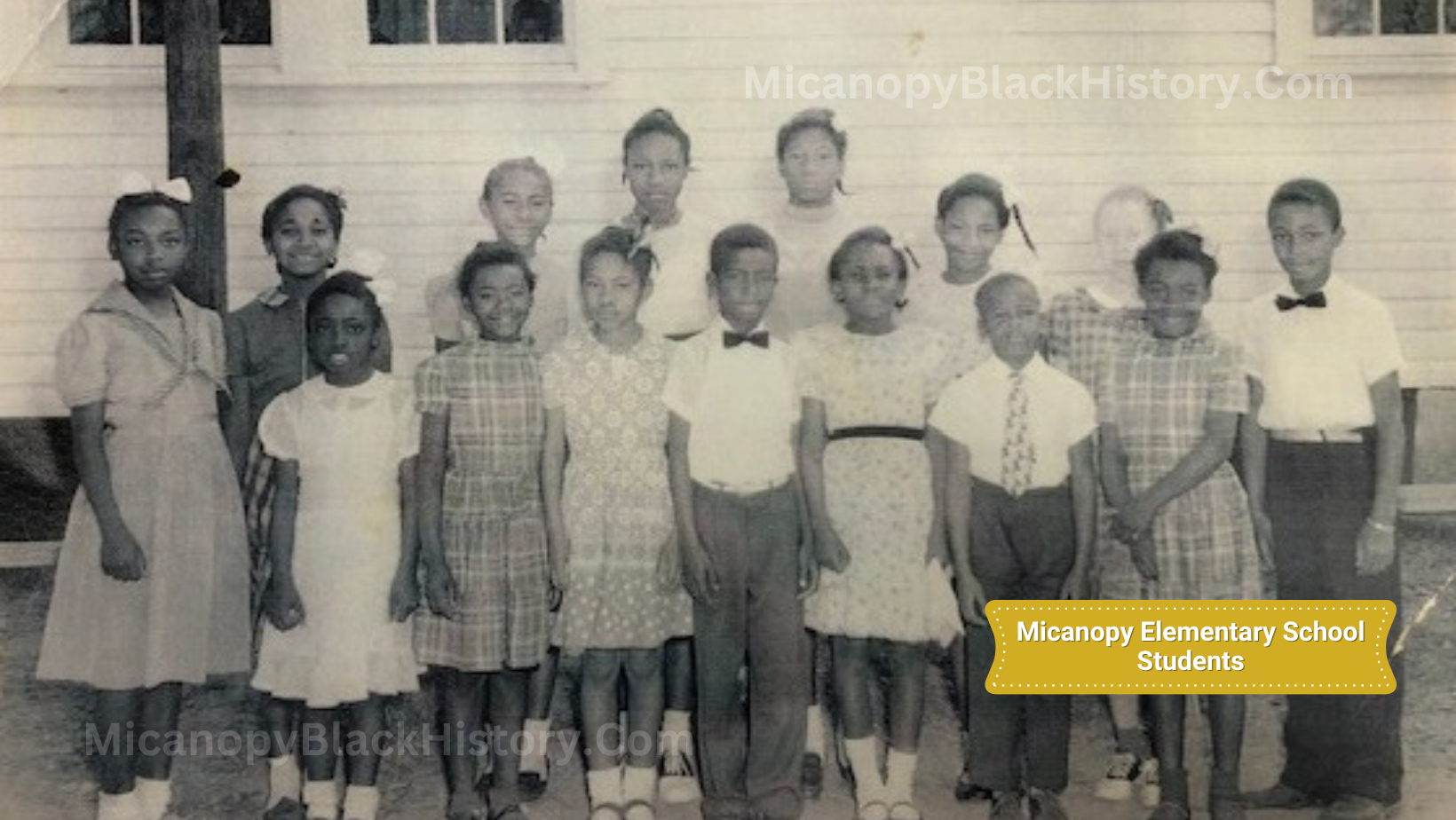 Why were Black students in Micanopy AGAINST integration?