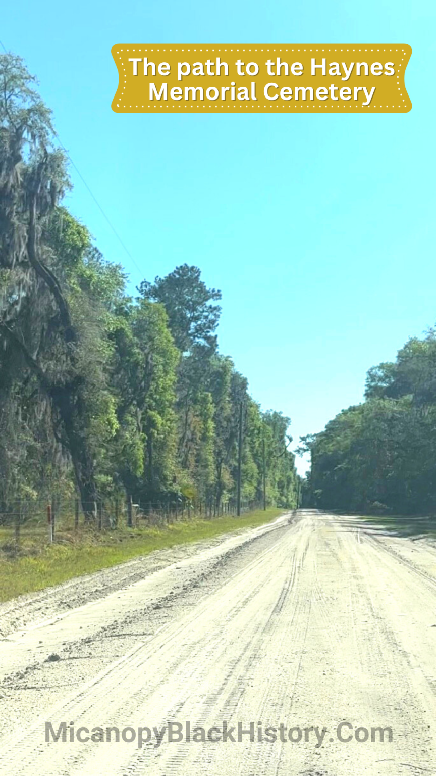 Why Are the Cemeteries in Micanopy Segregated? Micanopy Black History